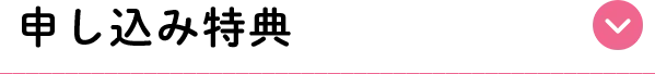 お得な申し込み特典