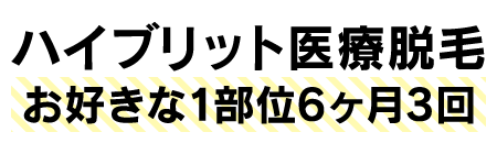 お好きな1部位6ヶ月3回