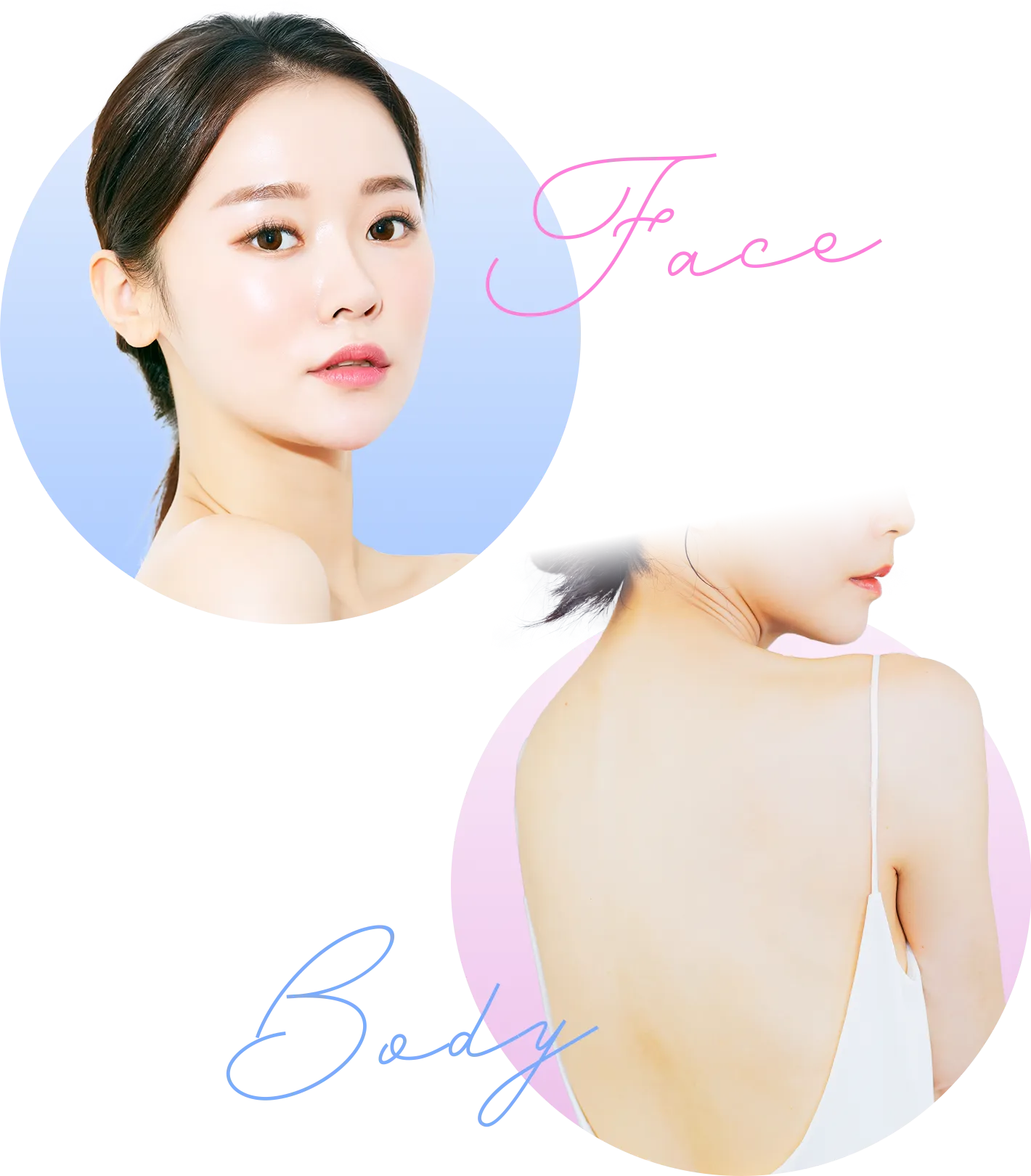 faceとbodyの写真