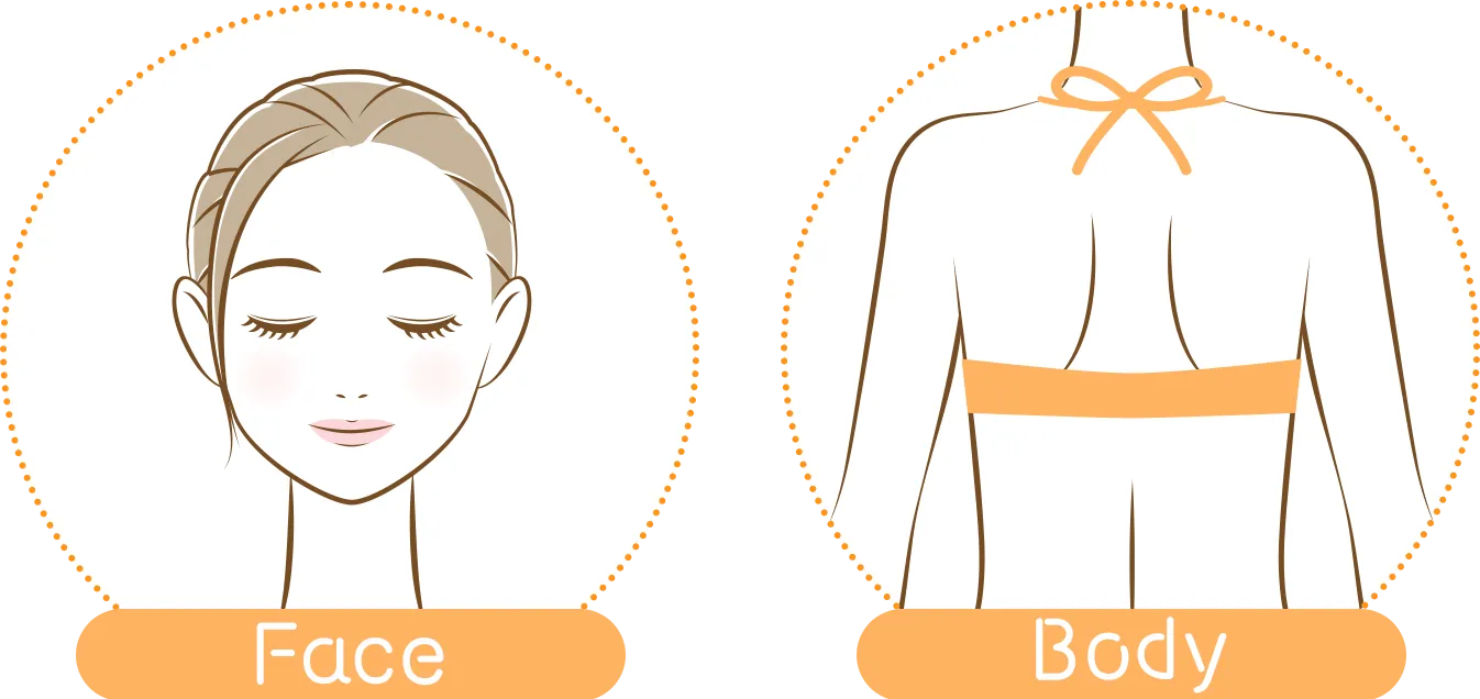 FACEとBODYのイラスト